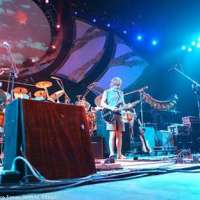 The Strange Remain: The Other&nbsp;Ones