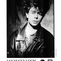 Chapter 39: Vibor&nbsp;Blue